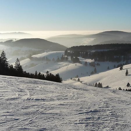 Ferienwohnung Am Geissberg Kleines Wiesental Bagian luar foto