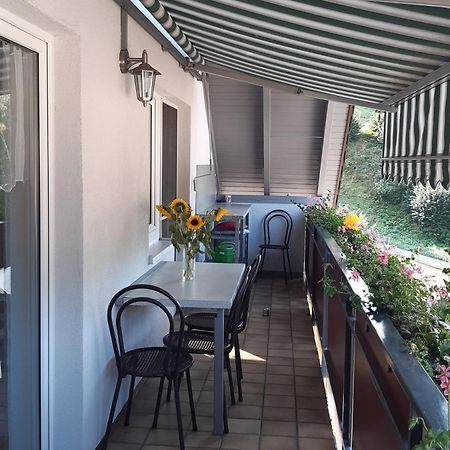 Ferienwohnung Am Geissberg Kleines Wiesental Bagian luar foto
