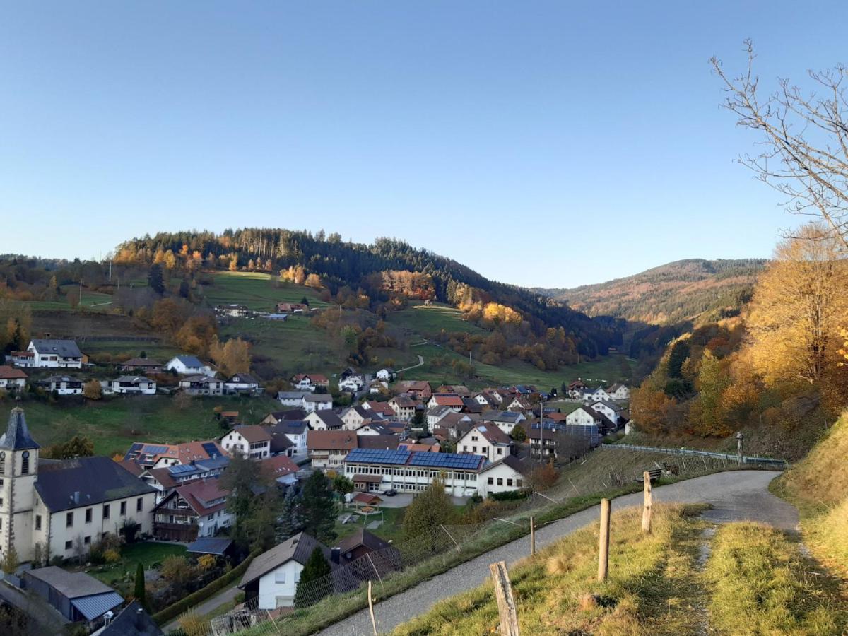 Ferienwohnung Am Geissberg Kleines Wiesental Bagian luar foto