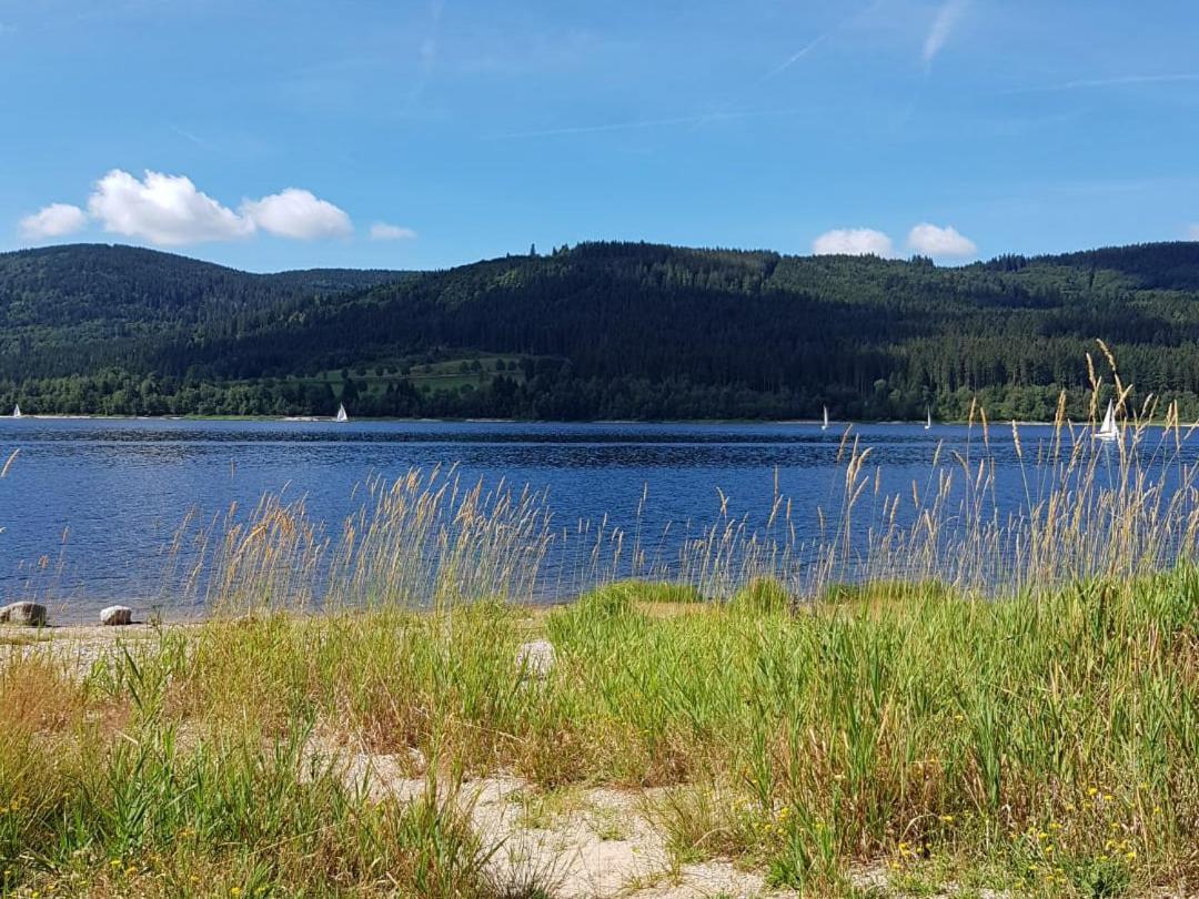 Ferienwohnung Am Geissberg Kleines Wiesental Bagian luar foto