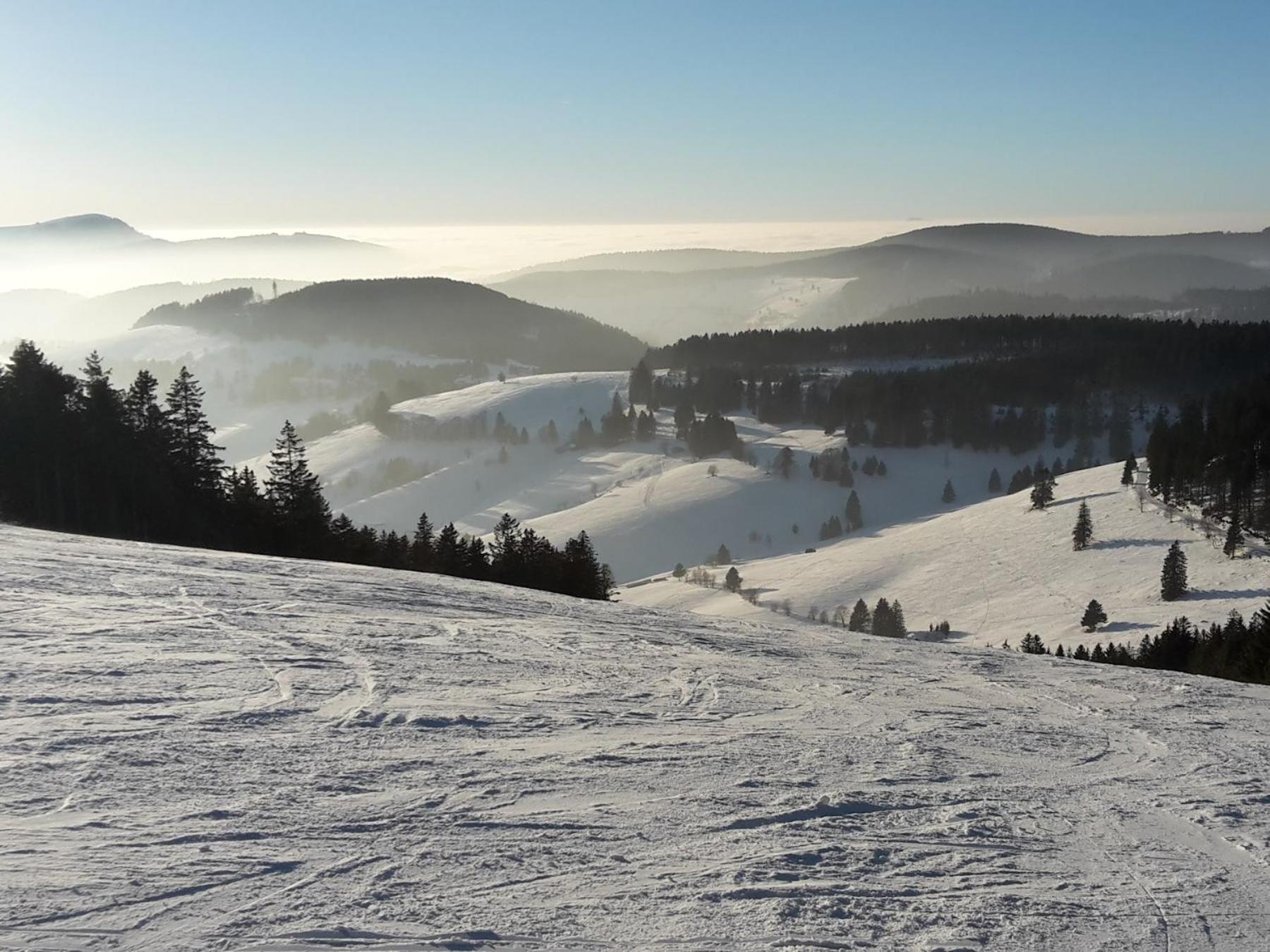Ferienwohnung Am Geissberg Kleines Wiesental Bagian luar foto
